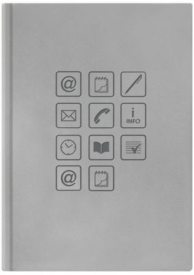 Переплетный материал Ежедневник ЕжеBook 15x21, Concept недатированный серебро