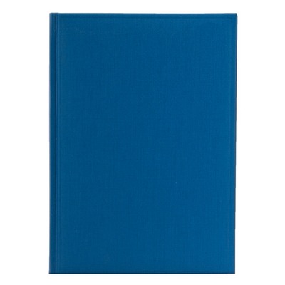 Недатированный ежедневник FRAME 650U (5451) 145x205 мм синий